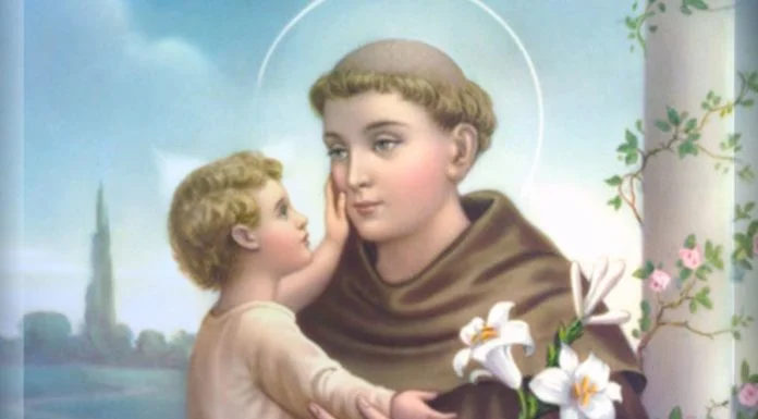 Sv. Ante