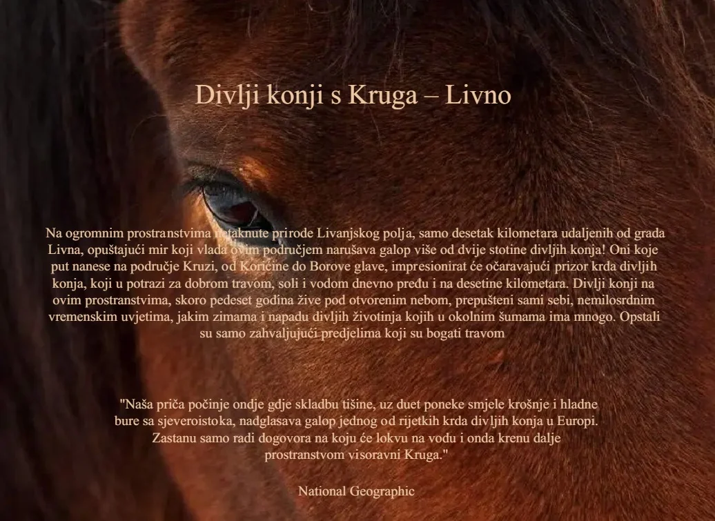 National Geographic - Livanjski divlji konji