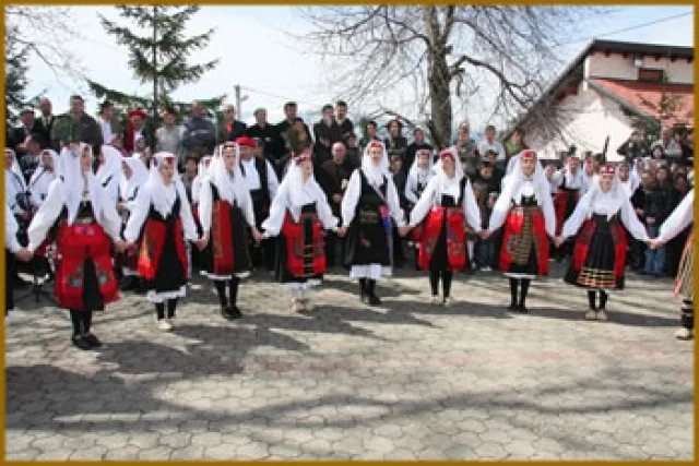 Cursko rudinsko kolo