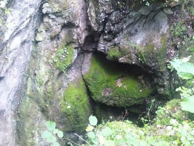 Husina jama