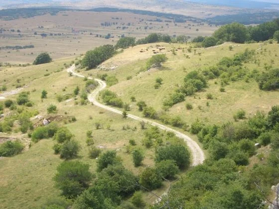 Život u divljini