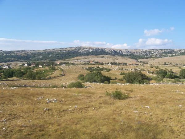Kužno Groblje