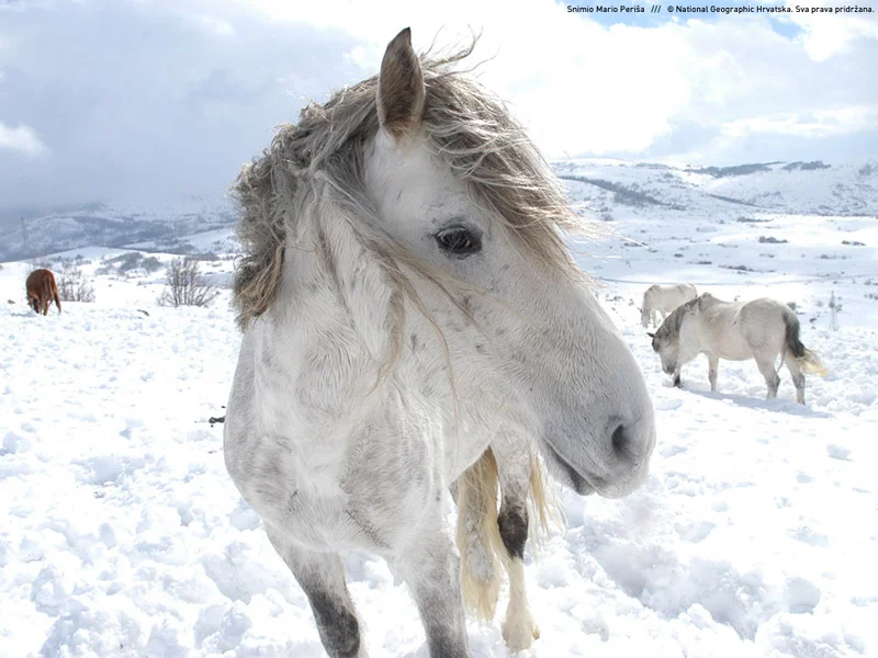 National Geographic