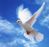 Neobična priča