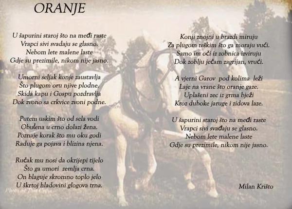 Oranje