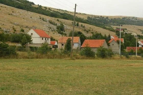 Predaja o Sušama