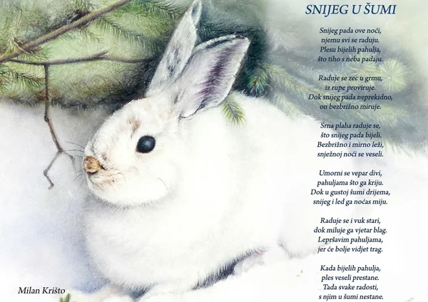 Snijeg u šumi