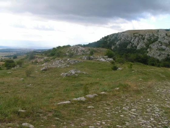 TELEGRAFDŽIJA