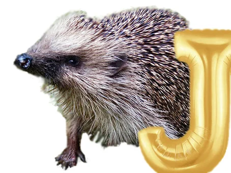 Što znači J?