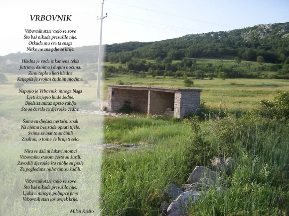 Vrbovnik