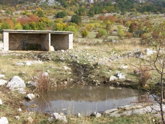 Vrbovnik u narodnoj pismi