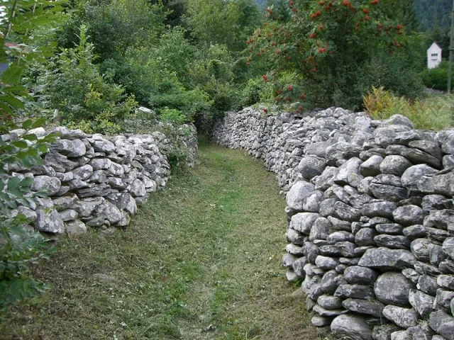 Zidovi i pozide